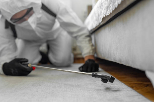 Professional Termite Control technician working in Crestview, FL