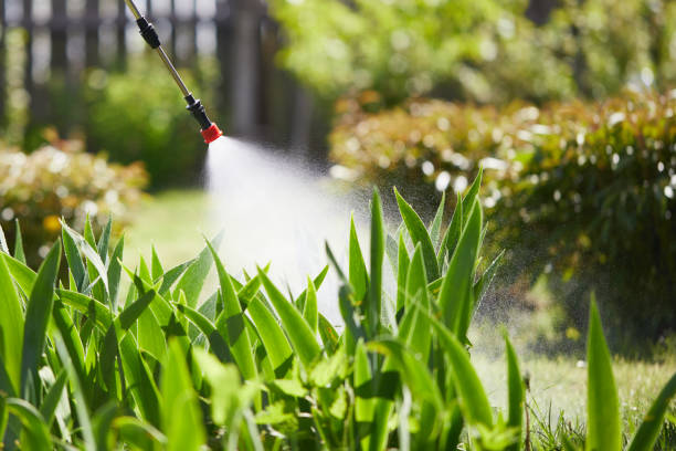 24/7 Emergency Termite Control experts in Crestview, FL